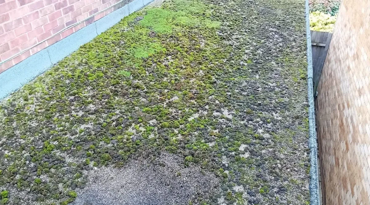Flat roof refurbishment: before